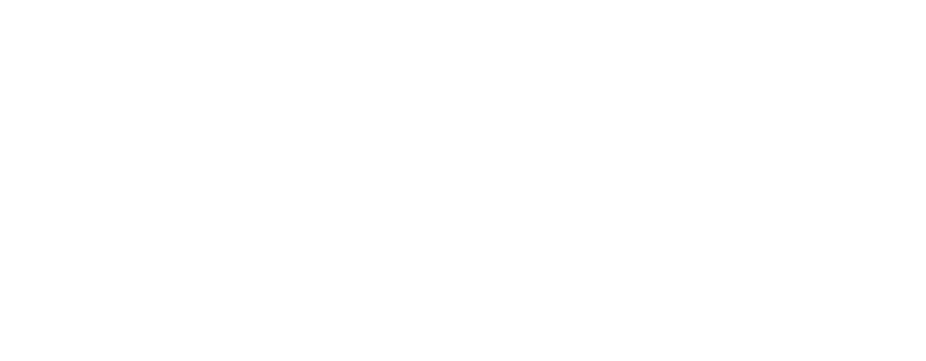 logo de dronehornet.fr